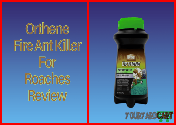orthene-fire-ant-killer-for-roaches